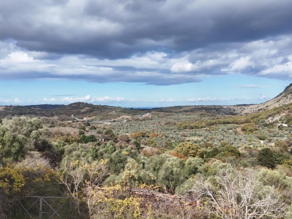 Building plot with olive trees & mountain views in Ampelaki near Rethymno