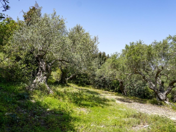 Large building plot with nice mountain & countryside views close to Almyrida beach