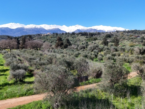 Large plot with White Mountains view & building pre-approval for 2 villas in Vamos
