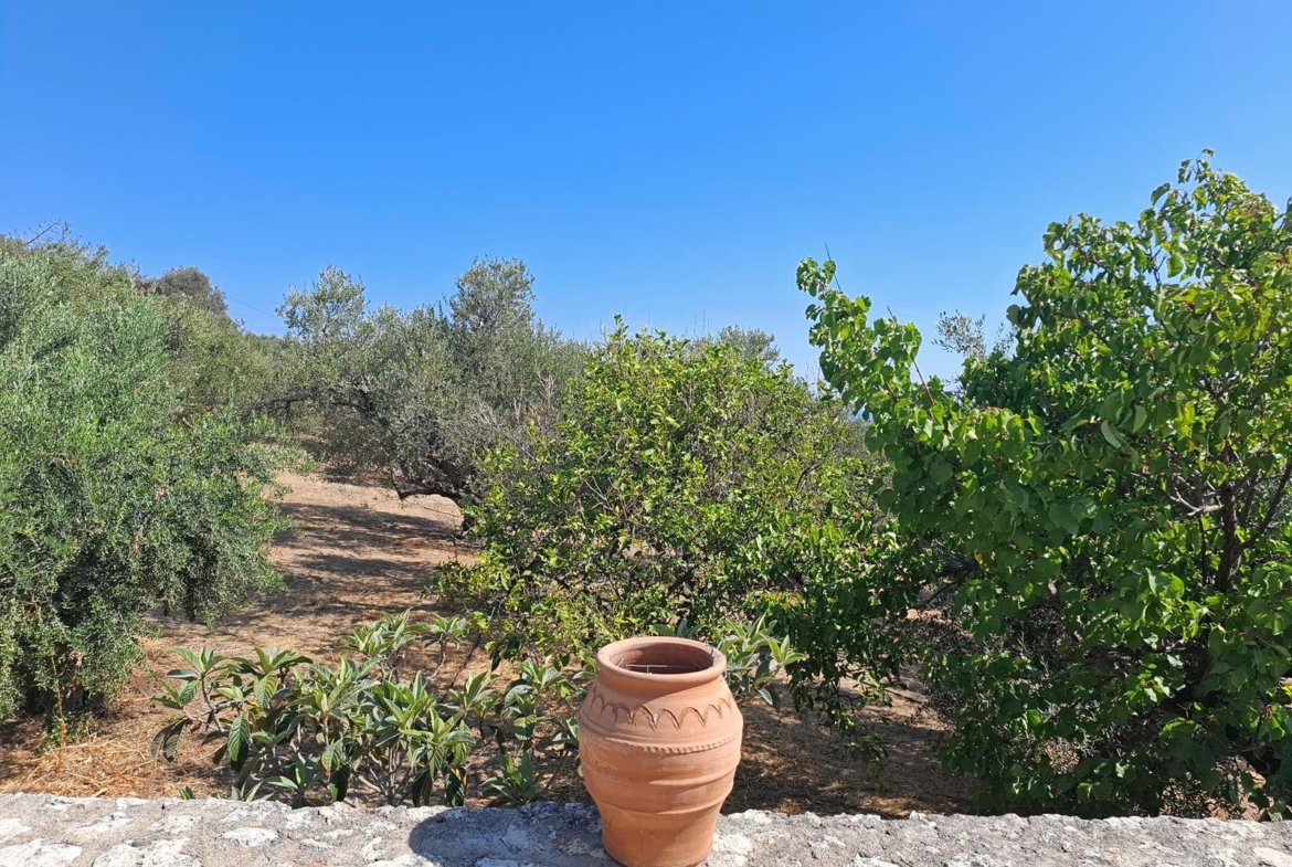 Second floor one-bedroom apartment with a sea view & shared pool in Tavronitis
