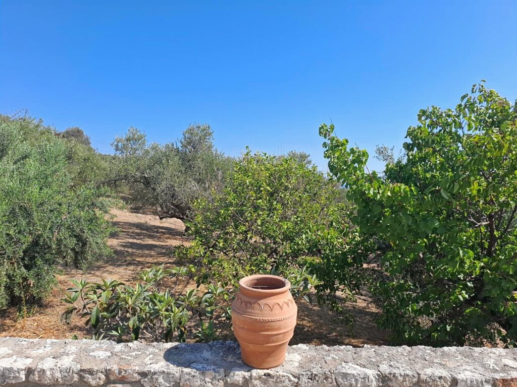22 Second floor one-bedroom apartment with a sea view & shared pool in Tavronitis
